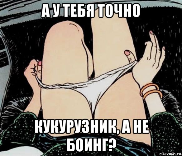 а у тебя точно кукурузник, а не боинг?, Мем А ты точно