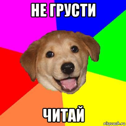 не грусти читай, Мем Advice Dog