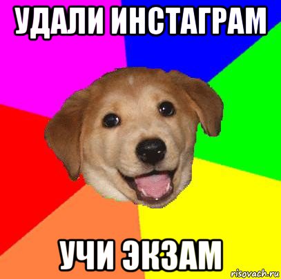 удали инстаграм учи экзам, Мем Advice Dog