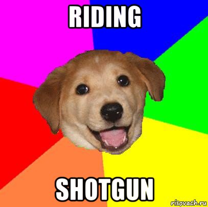 riding shotgun, Мем Advice Dog