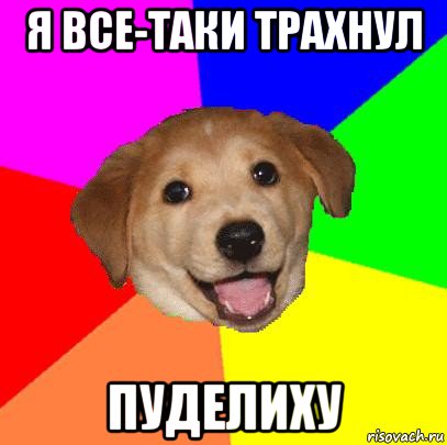 я все-таки трахнул пуделиху, Мем Advice Dog