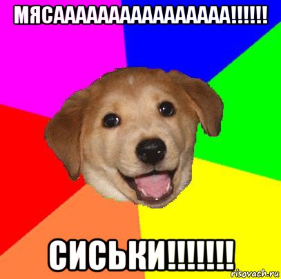 мясаааааааааааааааа!!!!!! сиськи!!!!!!!, Мем Advice Dog