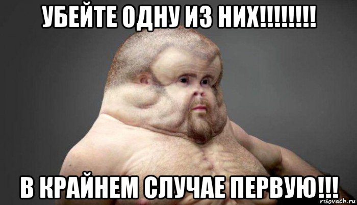 убейте одну из них!!!!!!!! в крайнем случае первую!!!