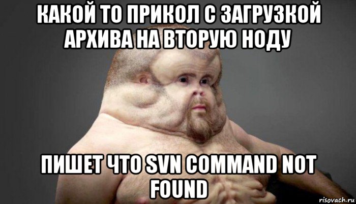 какой то прикол с загрузкой архива на вторую ноду пишет что svn command not found, Мем  Человек который выживет в лбом ДТП