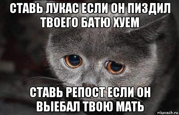 ставь лукас если он пиздил твоего батю хуем ставь репост если он выебал твою мать, Мем  Грустный кот