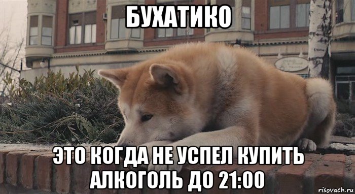 бухатико это когда не успел купить алкоголь до 21:00