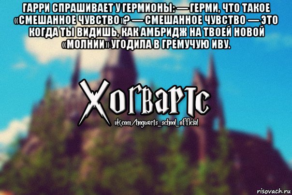 гарри спрашивает у гермионы: — герми, что такое «смешанное чувство»? — смешанное чувство — это когда ты видишь, как амбридж на твоей новой «молнии» угодила в гремучую иву. , Мем Хогвартс