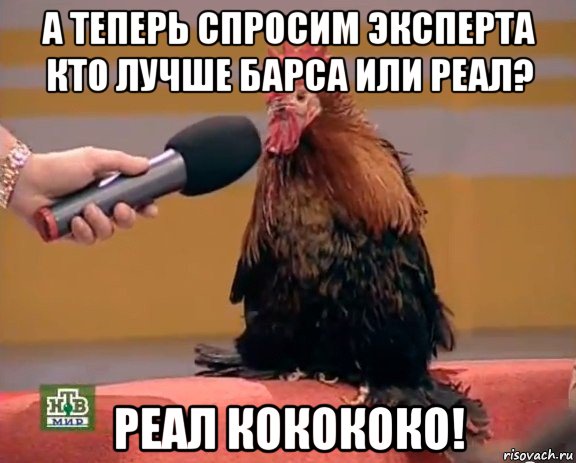 а теперь спросим эксперта кто лучше барса или реал? реал кокококо!, Мем Интервью с петухом