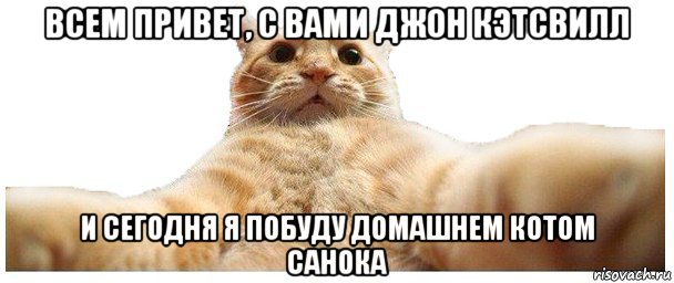 всем привет, с вами джон кэтсвилл и сегодня я побуду домашнем котом санока, Мем   Кэтсвилл