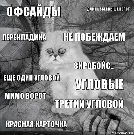 Офсайды Угловые Не побеждаем Красная карточка Еще один угловой Димка бьет выше ворот Третий угловой Перекладина Мимо ворот Зиробойс.., Комикс  кот безысходность