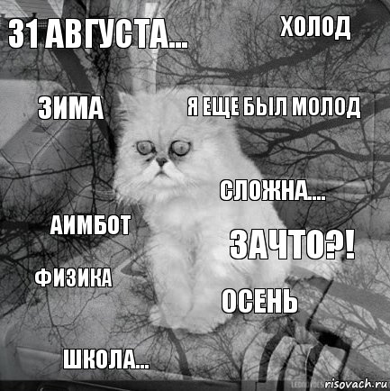 31 АВГУСТА... ЗАЧТО?! Я ЕЩЕ БЫЛ МОЛОД ШКОЛА... аИМБОТ холод осень зима физика сложна...., Комикс  кот безысходность