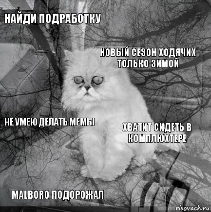 Найди подработку хватит сидеть в комплюхтере новый сезон ходячих только зимой Malboro подорожал не умею делать мемы     , Комикс  кот безысходность