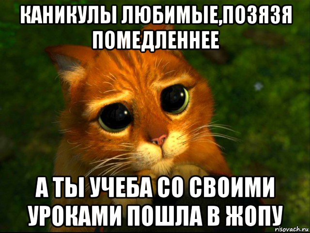 каникулы любимые,позязя помедленнее а ты учеба со своими уроками пошла в жопу, Мем кот из шрека