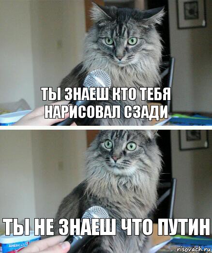 ты знаеш кто тебя нарисовал сзади ты не знаеш что путин, Комикс  кот с микрофоном