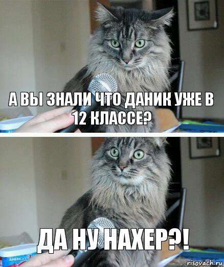 а вы знали что даник уже в 12 классе? да ну нахер?!, Комикс  кот с микрофоном