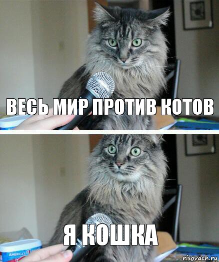 весь мир против котов я кошка, Комикс  кот с микрофоном
