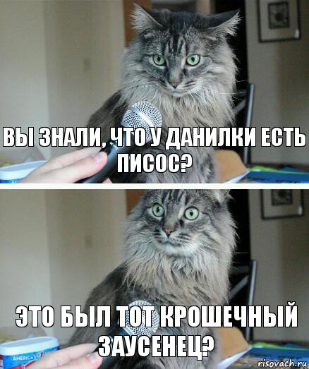 Вы знали, что у Данилки есть писос? Это был тот крошечный заусенец?, Комикс  кот с микрофоном