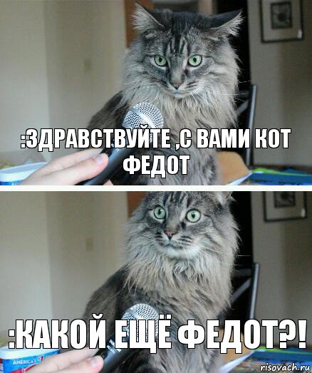 :Здравствуйте ,с вами кот ФЕДОТ :Какой ещё Федот?!, Комикс  кот с микрофоном