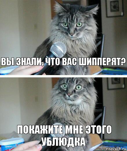 Вы знали, что вас шипперят? Покажите мне этого ублюдка, Комикс  кот с микрофоном