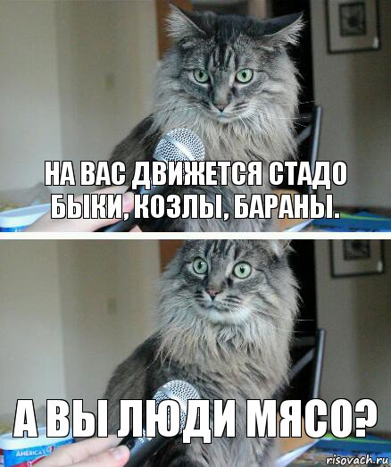 на вас движется стадо быки, козлы, бараны. а вы люди мясо?, Комикс  кот с микрофоном