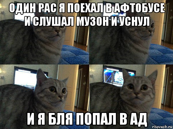 один рас я поехал в афтобусе и слушал музон и уснул и я бля попал в ад, Мем  Кот в шоке