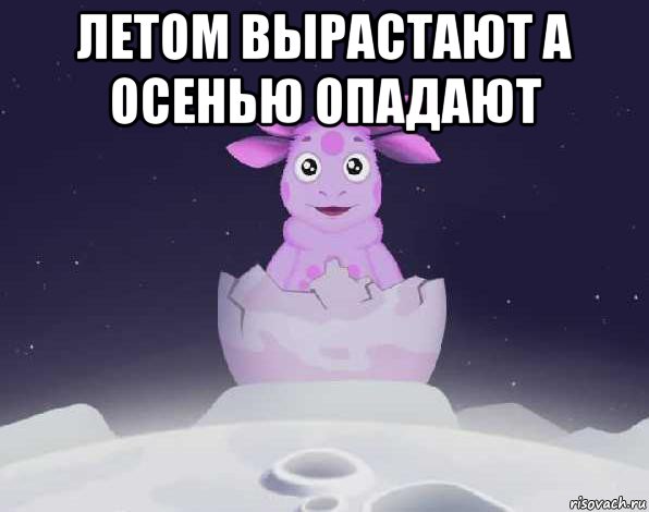 Лунтик я родился. Однажды на Луне родился нетипичный засрыш. Однажды на Луне родился необычный малыш. Лунтик я родился Мем. ЛОВУШКА Лунтик Мем.