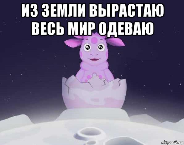 Из земли вырастаю весь мир