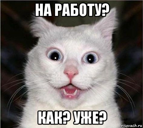 на работу? как? уже?, Мем Любовь