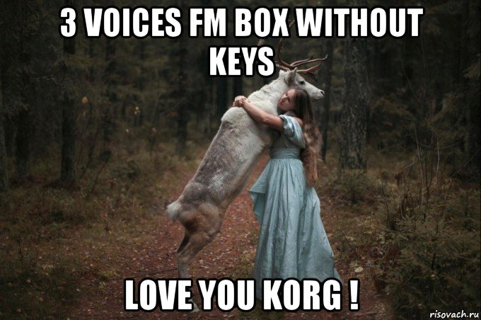 3 voices fm box without keys love you korg !, Мем Наивный Олень шаблон 5