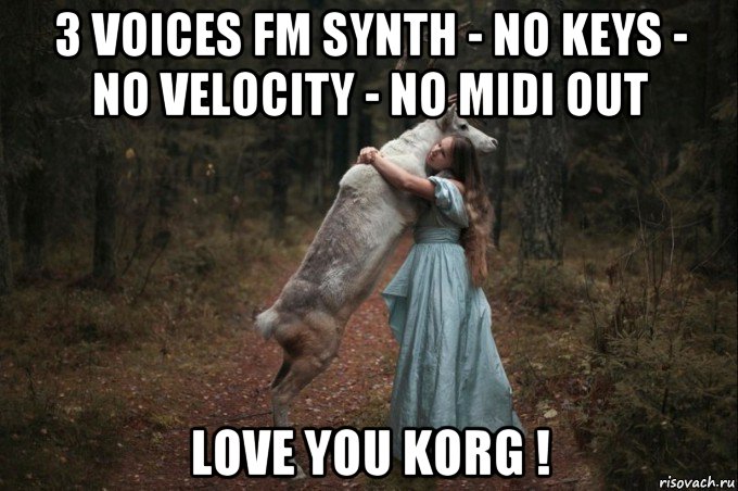 3 voices fm synth - no keys - no velocity - no midi out love you korg !, Мем Наивный Олень шаблон 5
