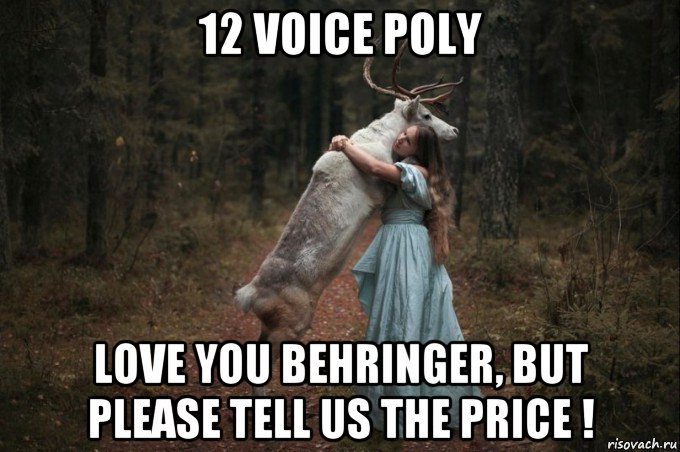 12 voice poly love you behringer, but please tell us the price !, Мем Наивный Олень шаблон 5