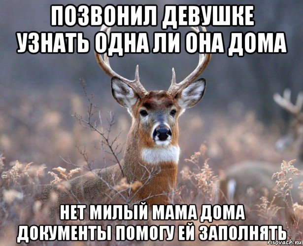 позвонил девушке узнать одна ли она дома нет милый мама дома документы помогу ей заполнять