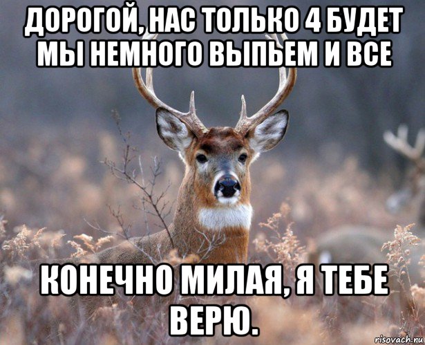 дорогой, нас только 4 будет мы немного выпьем и все конечно милая, я тебе верю., Мем   Наивный олень