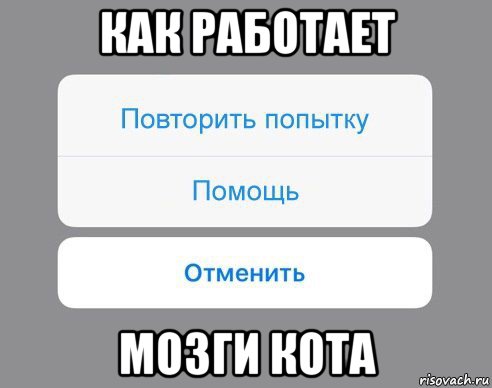 Помощь повтори. Почка отказала Мем. Почки отказали мемы. Мем про отмену свидания.