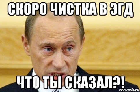 скоро чистка в эгд что ты сказал?!, Мем путин