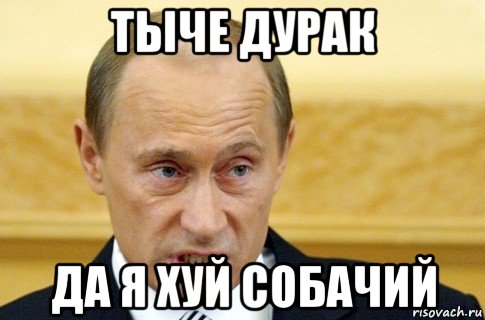 тыче дурак да я хуй собачий, Мем путин