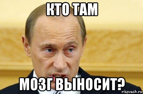 кто там мозг выносит?, Мем путин