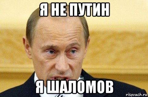 я не путин я шаломов, Мем путин