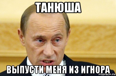 танюша выпусти меня из игнора, Мем путин