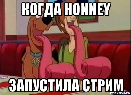 когда honney запустила стрим, Мем Скуби ду