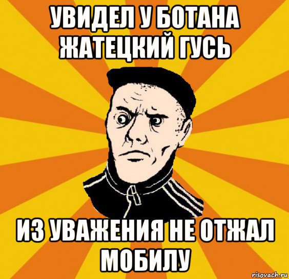 увидел у ботана жатецкий гусь из уважения не отжал мобилу, Мем Типовий Титушка