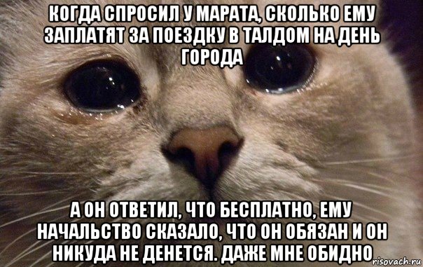 когда спросил у марата, сколько ему заплатят за поездку в талдом на день города а он ответил, что бесплатно, ему начальство сказало, что он обязан и он никуда не денется. даже мне обидно, Мем   В мире грустит один котик