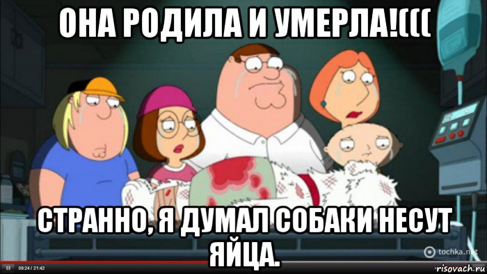 она родила и умерла!((( странно, я думал собаки несут яйца., Мем Гриффины оплакивают