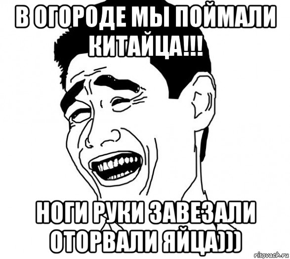 в огороде мы поймали китайца!!! ноги руки завезали оторвали яйца))), Мем Яо минг