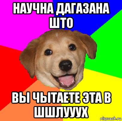 научна дагазана што вы чытаете эта в шшлууух, Мем Advice Dog