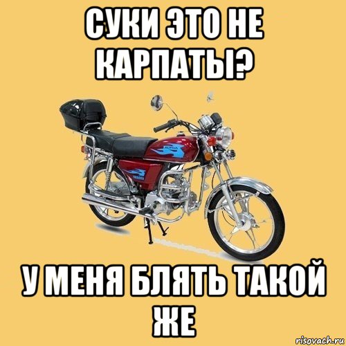 суки это не карпаты? у меня блять такой же