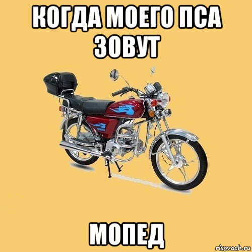 когда моего пса зовут мопед