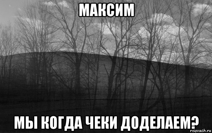 максим мы когда чеки доделаем?