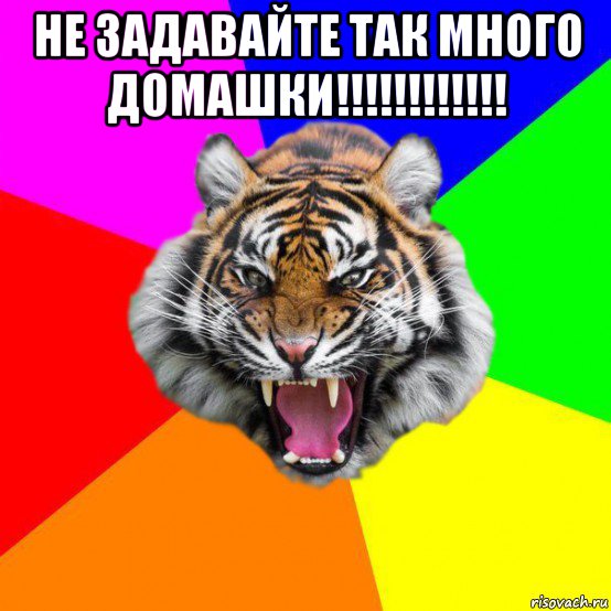 не задавайте так много домашки!!!!!!!!!!!! , Мем  ДЕРЗКИЙ ТИГР