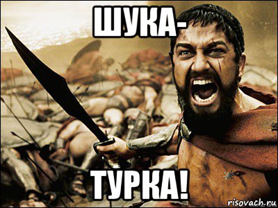 шука- турка!, Мем Это Спарта